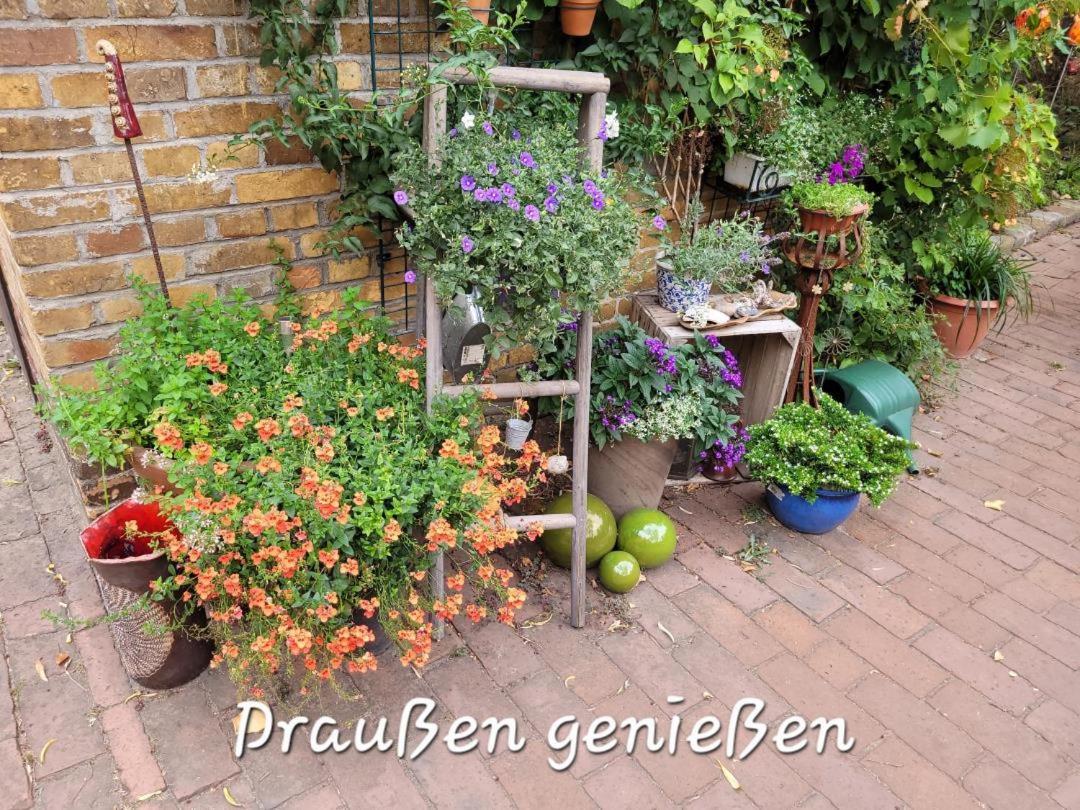 Neu! Stilvolle Fewo Finsterwalde Dış mekan fotoğraf